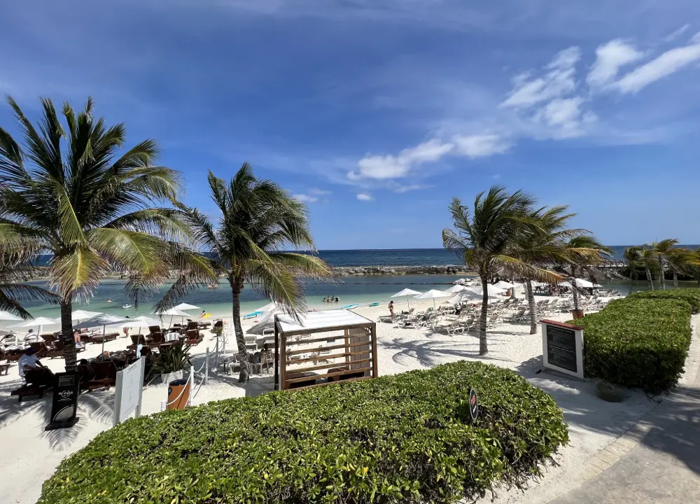 Lisa J Collins | TravelMation