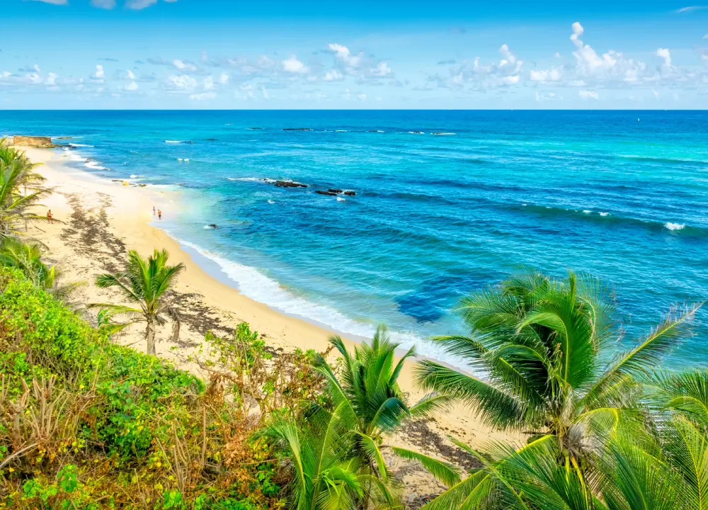 Lisa J Collins | TravelMation