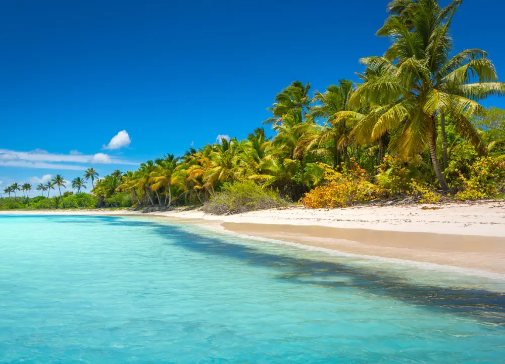 Lisa J Collins | TravelMation
