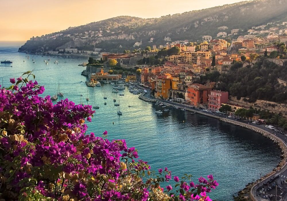 Lisa J Collins | TravelMation